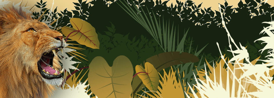 Casimba Bis Zu €1100 + 125 Freispiele