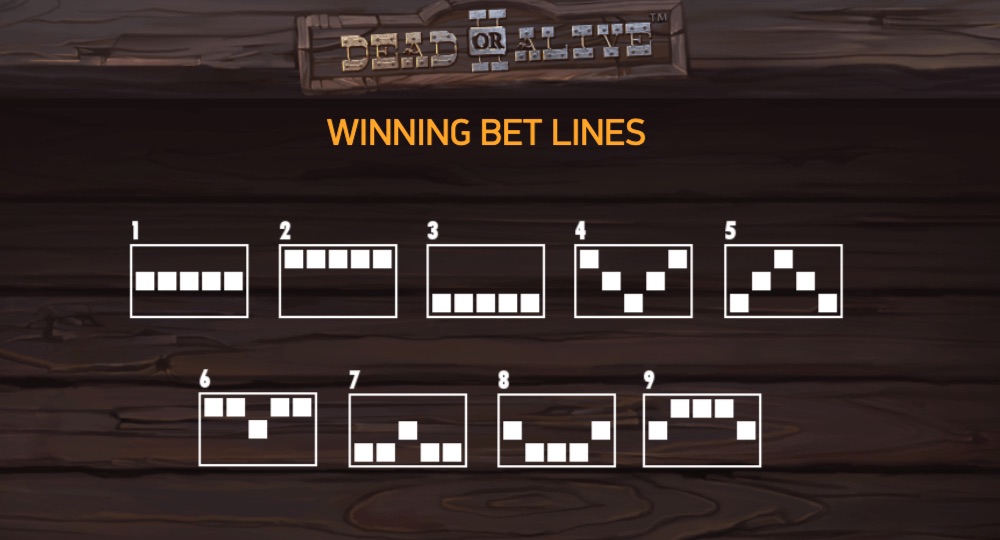 Dead or Alive 2 slot Dead or Alive 2 Paylines